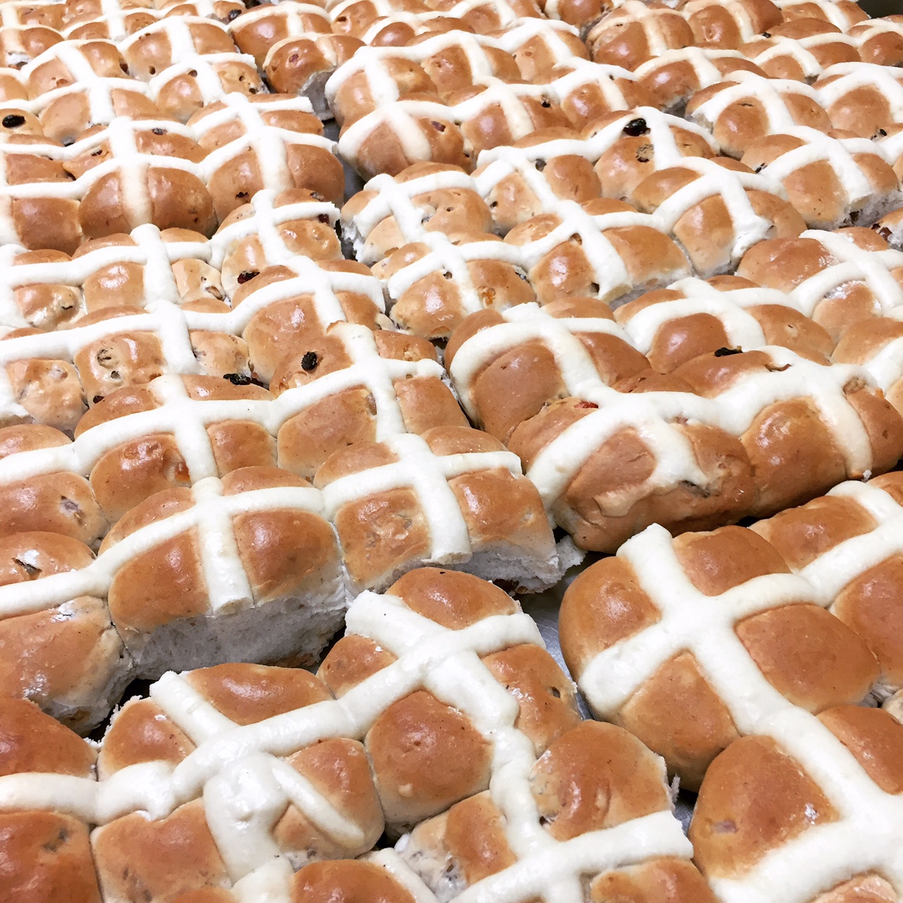 Hot Cross Buns Iced 6 Pack (sultana raisin & candied fruit studded buns topped with an icing sugar glaze and a hand piped pastry cross )